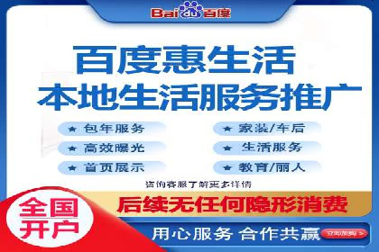 成功SEM服务案例分析报告